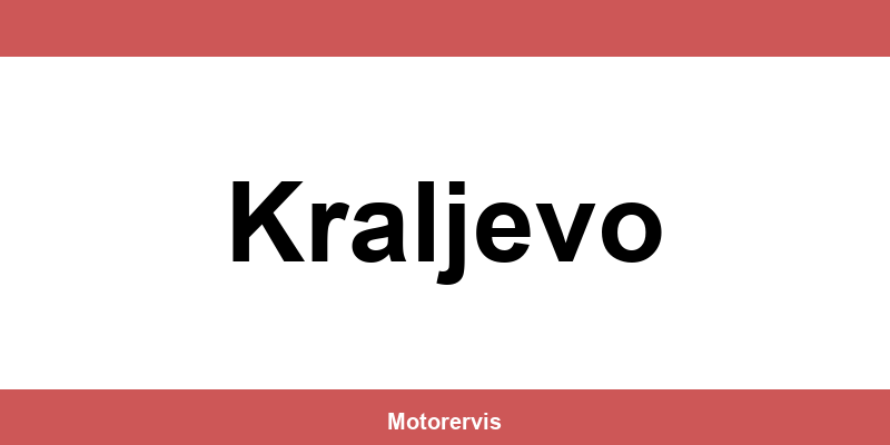 Delmax Kraljevo kontakt telefon