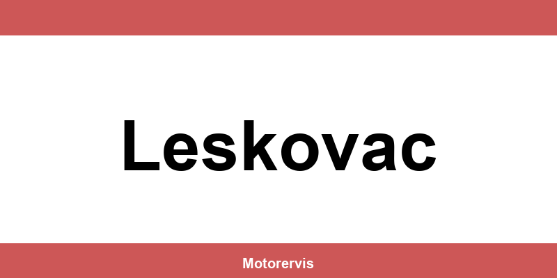 Delmax Leskovac kontakt telefon